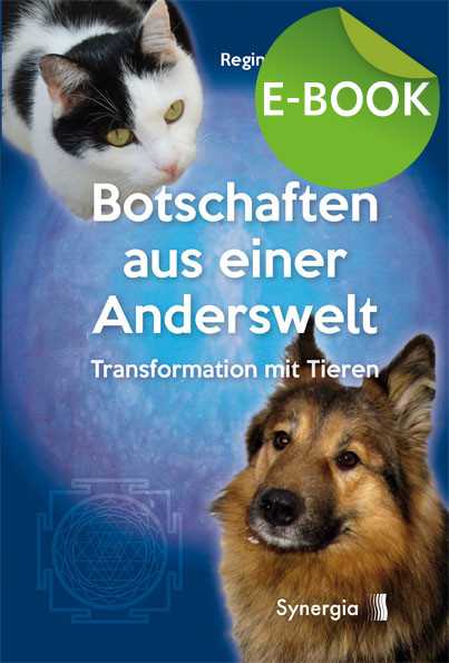 Botschaften aus einer Anderswelt, E-Book